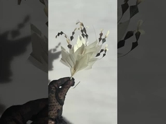 συλλογή φτερωτών ιπποειδών